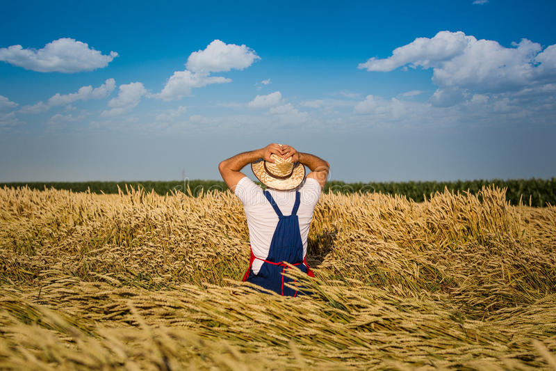 Продажа земли в Украине: важно уйти от сырьевой модели и поддержать фермеров