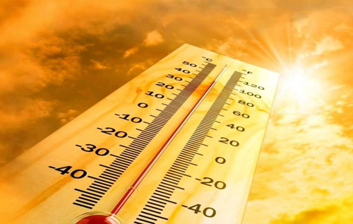 Украина пережила самый теплый год за всю историю наблюдений