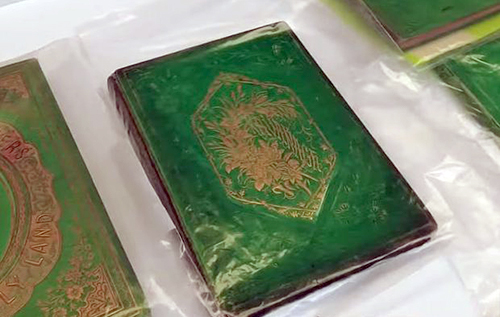 Реставратори із США почали пошук у бібліотеках тисяч зелених книг, здатних позбавити життя читачів
