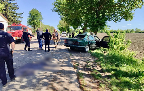 На Одещині авто влетіло у дерево: водій загинув, дитину госпіталізували