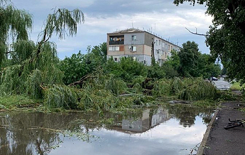 В Сети показали, как ураган на Донбассе сорвал новую крышу с больницы и "перекрыл" улицы упавшими деревьями. ФОТО. ВИДЕО