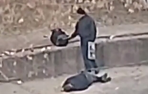Нелюдськість зашкалює: на відео зняли, як в Києві пограбували чоловіка без свідомості