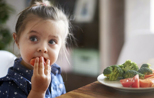 Веганская диета сильно влияет на метаболизм детей