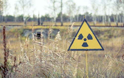 Экологи рассказали о вторичном радиоактивном загрязнении в Чернобыльской зоне
