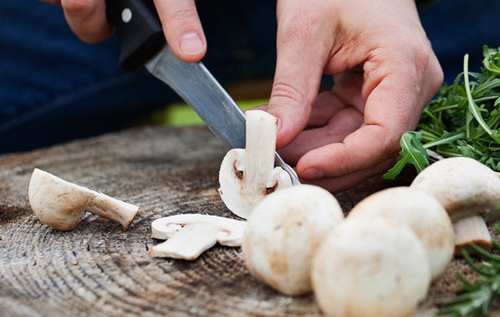 Употребление грибов снижает риск заболеть раком, – исследование