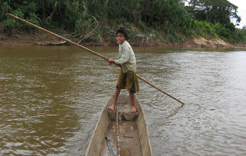 Образ жизни коренных жителей Амазонки ученые назвали ключом к замедлению старения