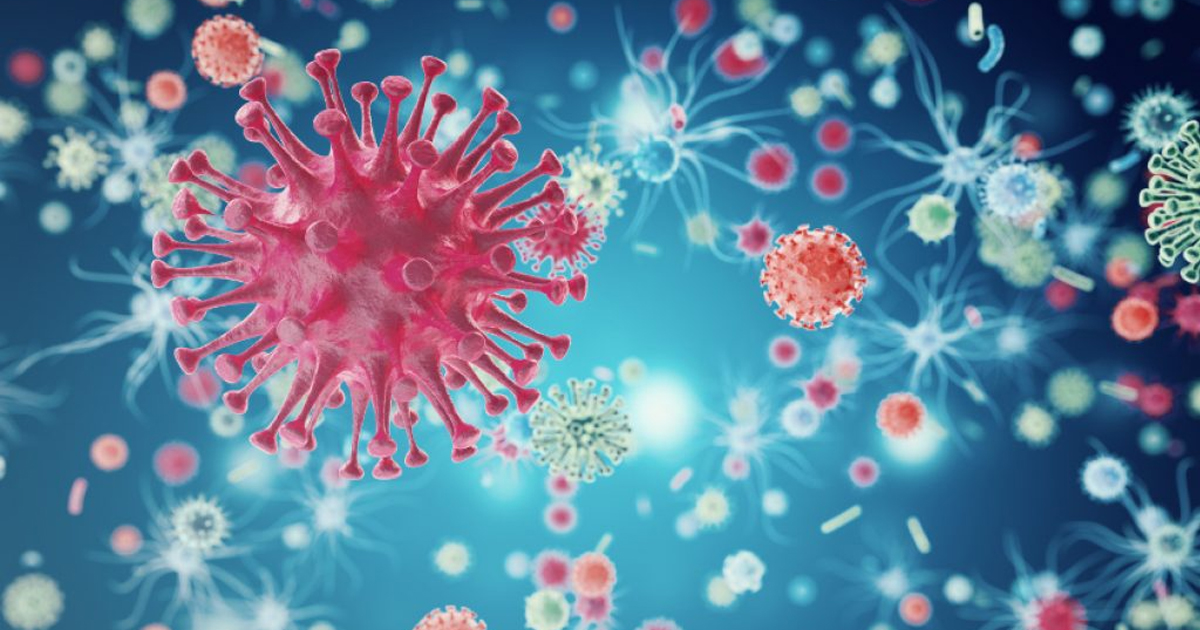 Ученый нашел новое подтверждение, что коронавирус циркулировал в Ухане до декабря 2019 года