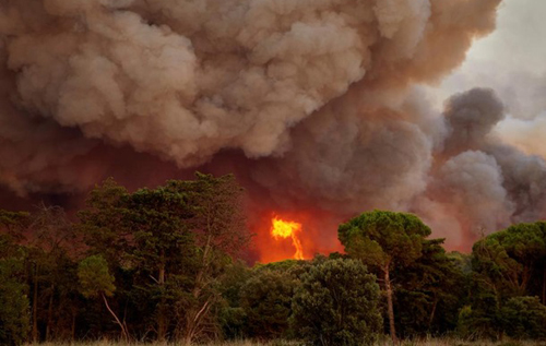 В Испании вспыхнули сразу несколько крупных лесных пожаров. ФОТО