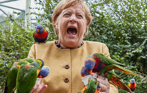 Попугаи вынудили Меркель "спеть" лебединую песню