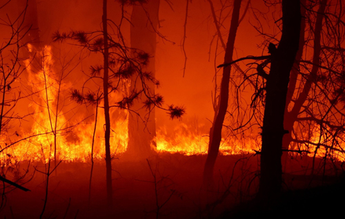 Бездіяльність з боку РНБО і Зеленського з приводу масштабних пожеж межує зі злочином, – Ігор Луценко