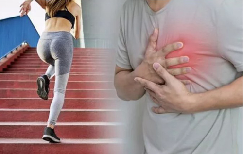 Названы физические упражнения, которые увеличивают риск внезапной остановки сердца