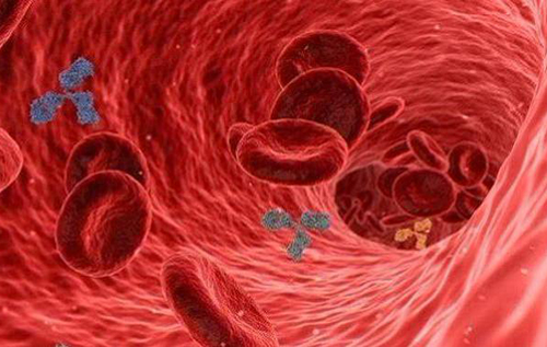 Мікропластик у крові пов'язаний з інсультом, серцевим нападом і ранньою смертю, – дослідження
