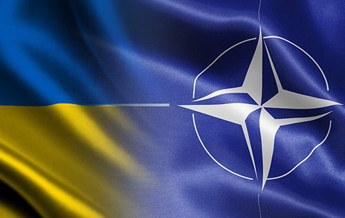 "Це означає поділ країни": дипломат прокоментував можливість "обміну" окупованих українських територій на членство у НАТО