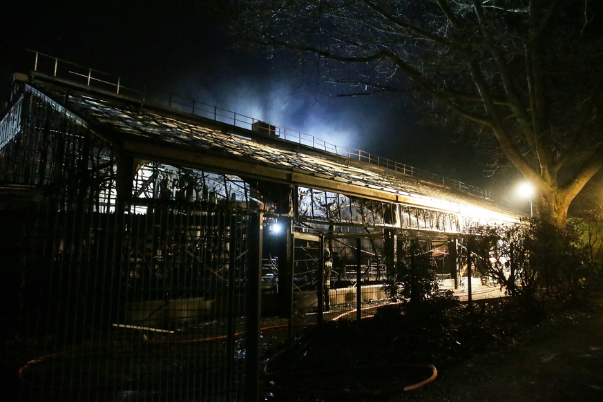 В новогоднюю ночь сильный пожар охватил зоопарк в Германии, погибло много животных
