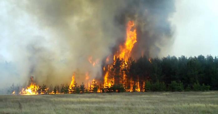 "За димом сонця не видно". Неподалік від Києва помітили нову масштабну лісову пожежу. ВІДЕО