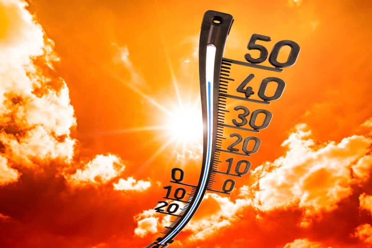 +50,7°C! В Австралии зафиксировали самую высокую температуру в истории наблюдений