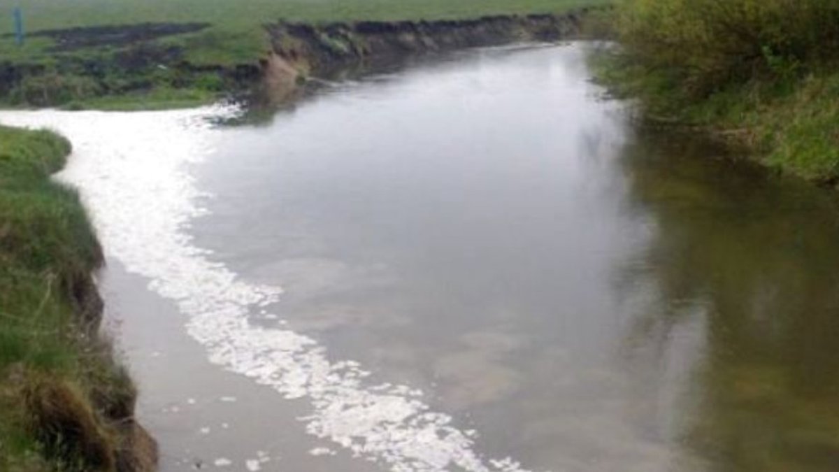 Отруєну хімікатами воду з Тернопільщини понесло до Білорусі: аміак потрапив у річку через ворожий обстріл