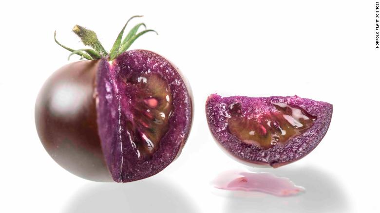 Як слива, але томат. У США дозволили продаж фіолетових ГМО помідорів