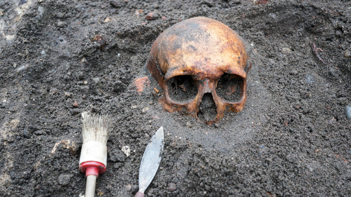 Вчені виявили жертву найдавнішого вбивства в історії Європи: це сталося десятки тисяч років тому