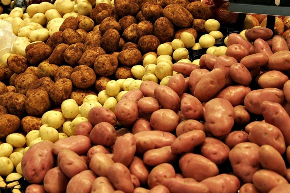 Овочі в дефіциті, або чому українська картопля не дійде до столів