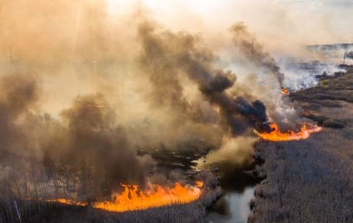 Экологи считают, что пожары и пылевые бури в Украине станут постоянным явлением