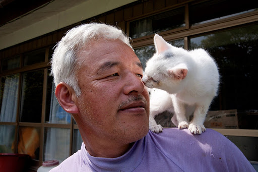 Мужчина остался в зараженной зоне у атомной электростанции Фукусима, чтобы спасать котов