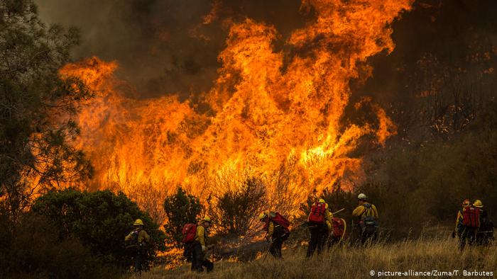 Найбільша пожежа в історії штату: в Каліфорнії евакуюють тисячі людей
