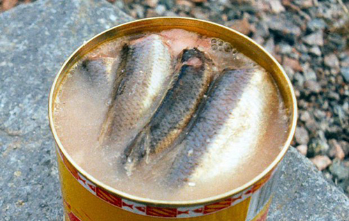 У Швеції чоловік з'їв рекордну кількість риби з нудотним запахом і потрапив до Книги рекордів Гіннеса. ВІДЕО
