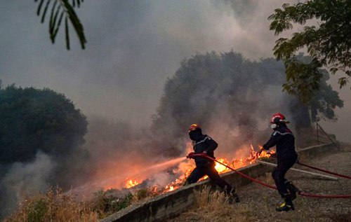 Найбільші лісові пожежі в історії ЄС: в Греції арештували 79 людей через підпали