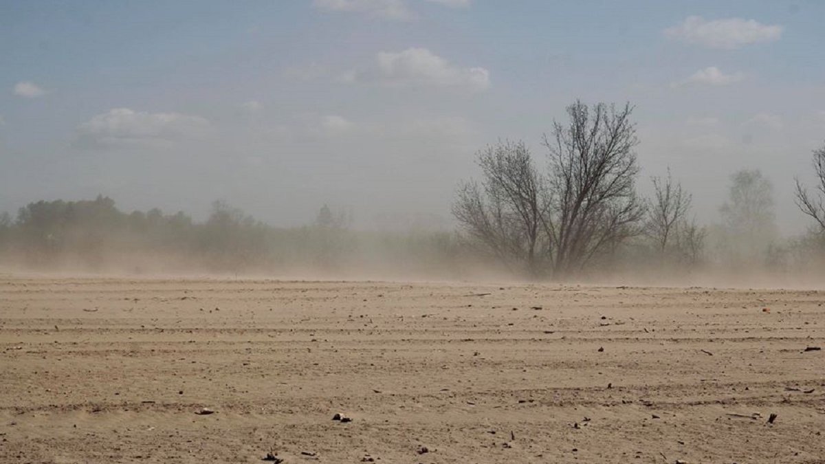 Эколог назвал причину сильных пылевых бурь в Украине