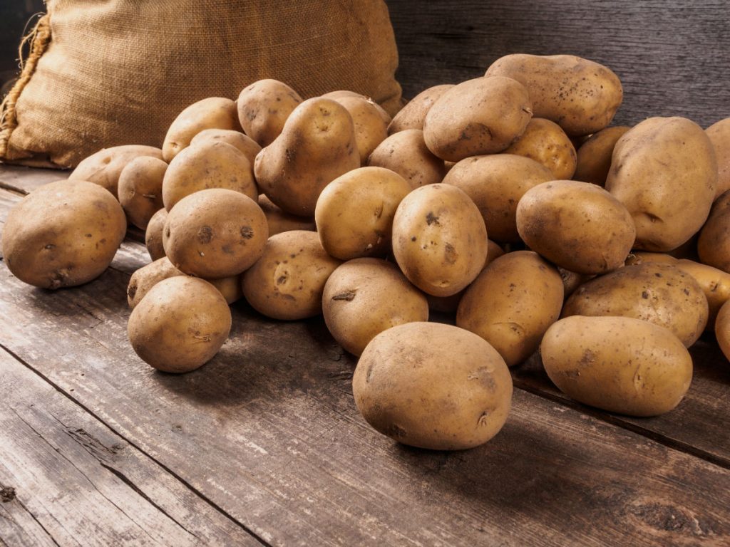 картопля врожай