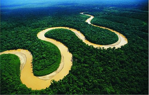 Самая удивительная река в мире: какие у Амазонки есть причуды и почему на ней нет мостов. ФОТО