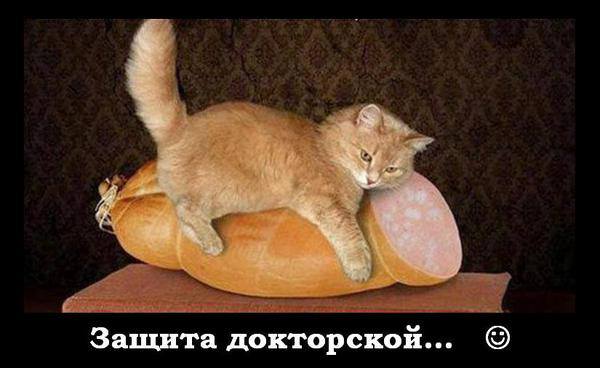 Посмеялся сам - поделись с другом!!!