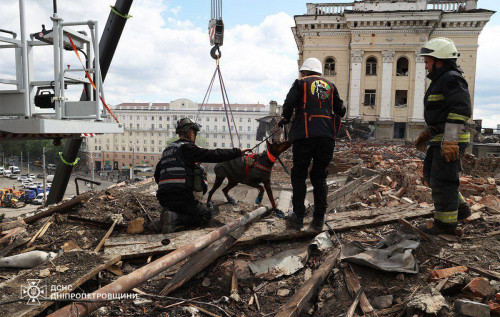 Собака-рятувальник на ім'я Ханна, яка врятувала більше 170 життів під час російських обстрілів, пішла з цього життя.