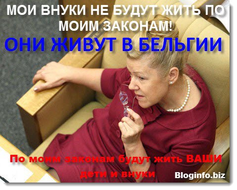 1399373212_iron_mizulina.jpg