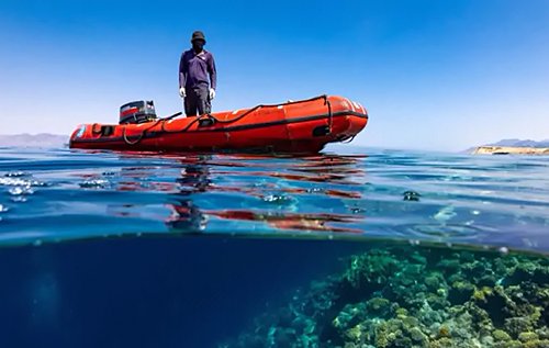 Вчені досягли дна Червоного моря і були шоковані: всюди – "басейни смерті"