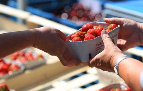 В Україні через неврожай полуниці її ціна сягнула до 80-120 грн за кілограм