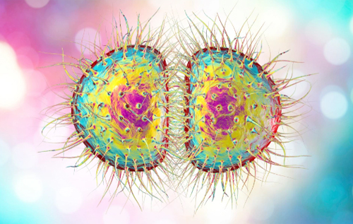 После пандемии коронавируса человечеству грозят неизлечимые болезни, передающиеся половым путем