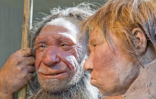 Неандертальців занапастила не війна, а кохання