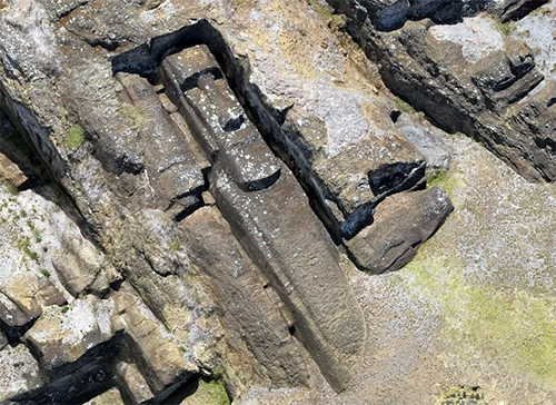 Таємниці розкрито: вчені розкрили, як робили та переносили знамениті статуї острова Пасхи