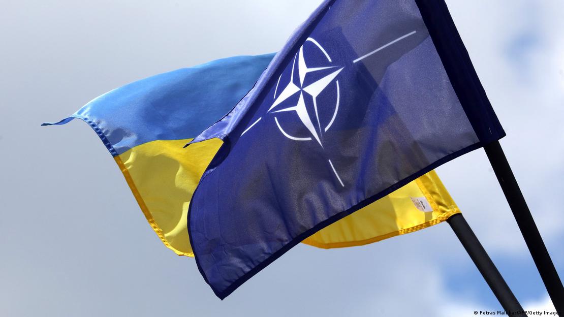 Зеленського просять не форсувати членство України в НАТО цього року, – The Telegraph