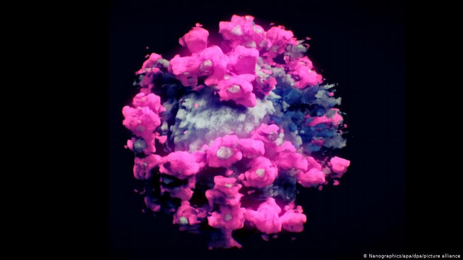 Ученые впервые сделали 3D снимок коронавируса