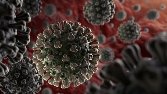 Найден уникальный вариант коронавируса, который может свидетельствовать об утечке из лаборатории