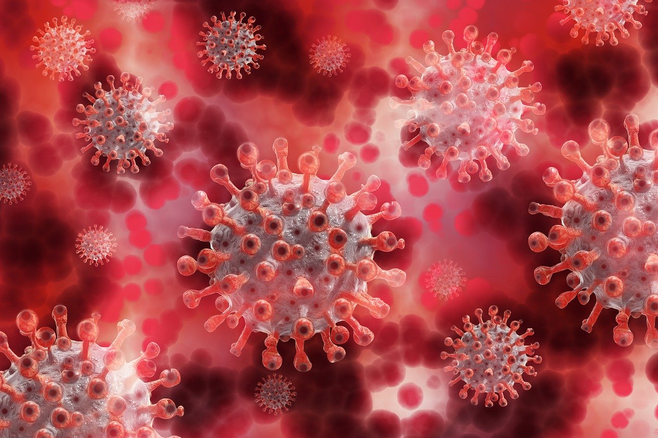 У COVID-19 обнаружили уникальную способность к мутациям: ни у гриппа, ни у ВИЧ нет такого сложного механизма проникновения