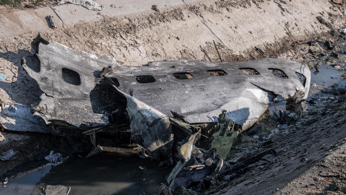 Снєгирьов: Катастрофа літака МАУ в Ірані є елементом світового геополітичного протистояння