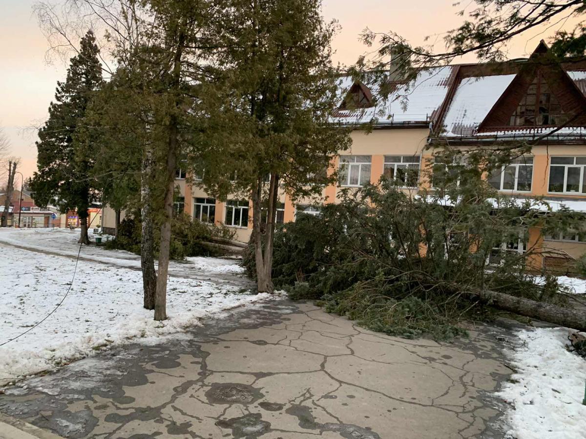 На Львівщині  сильний вітер викорчував дерева і пошкодив білборд