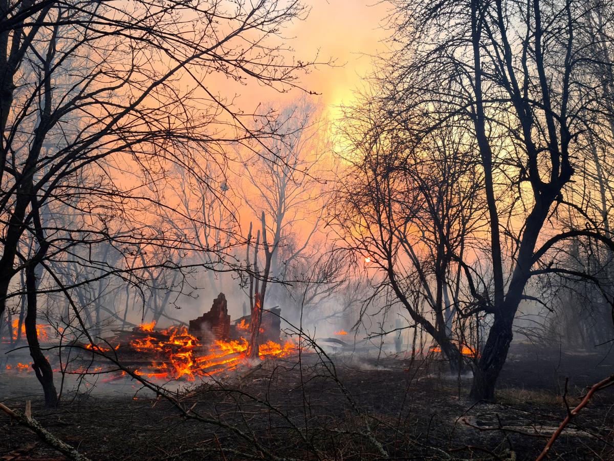 Украина в огне: остановят ли штрафы поджигателей сухой травы