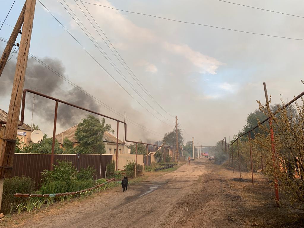 Кількість жертв лісової пожежі на Луганщині зросла до 5 осіб. ФОТО