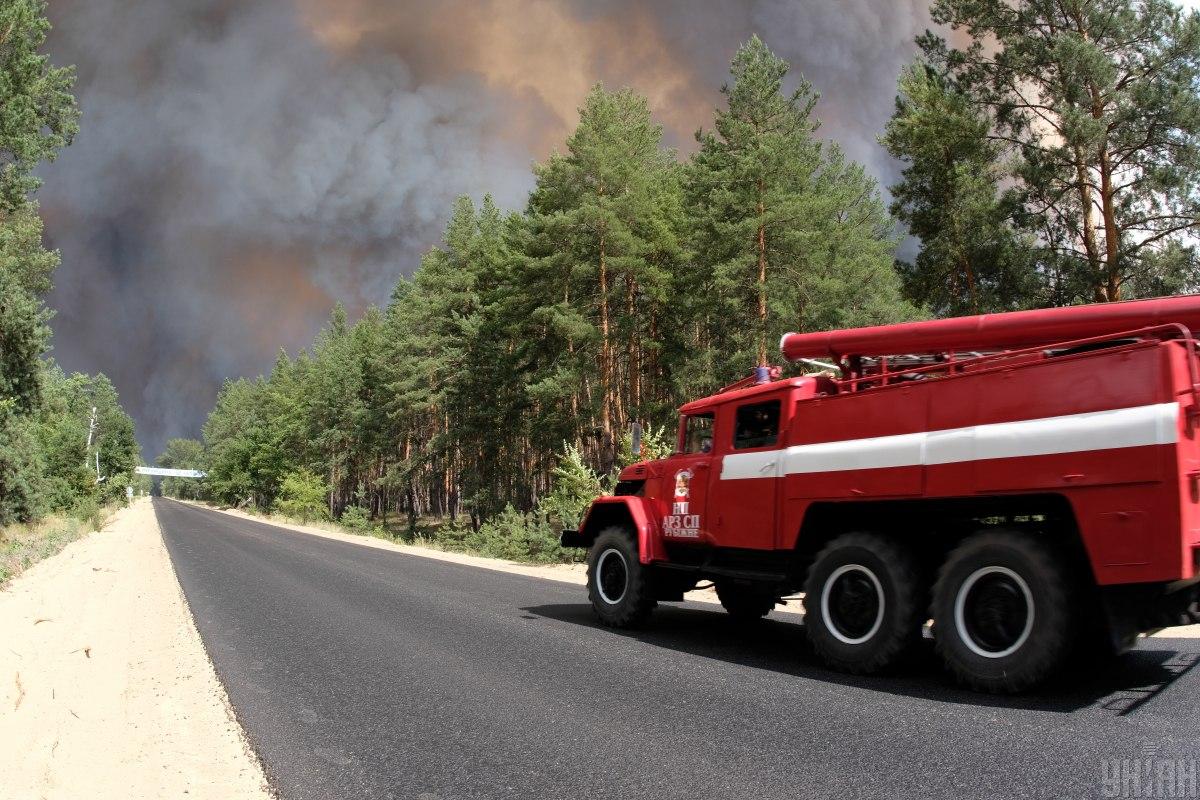 Масштабну лісову пожежу на Луганщині локалізували