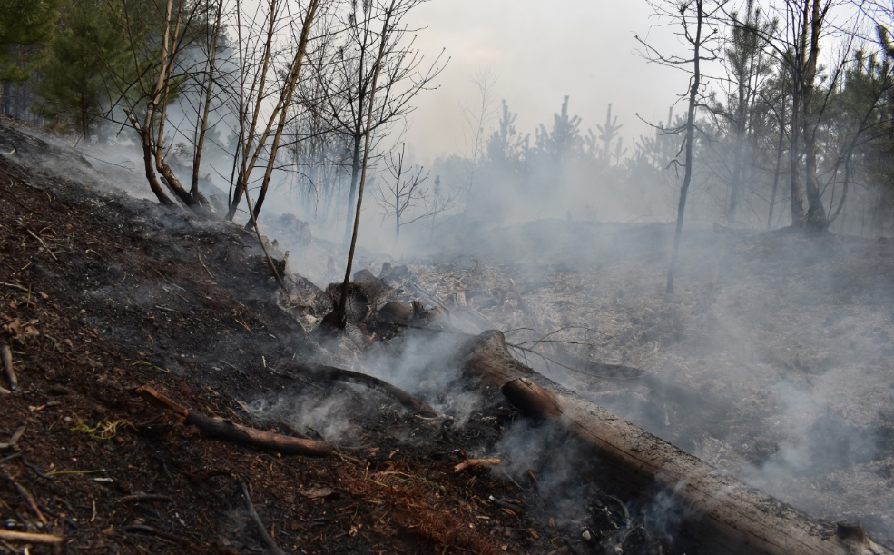 У Чорнобильській зоні та на Житомирщині досі гасять окремі осередки пожеж